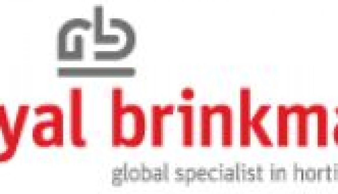 Royal-Brinkman2